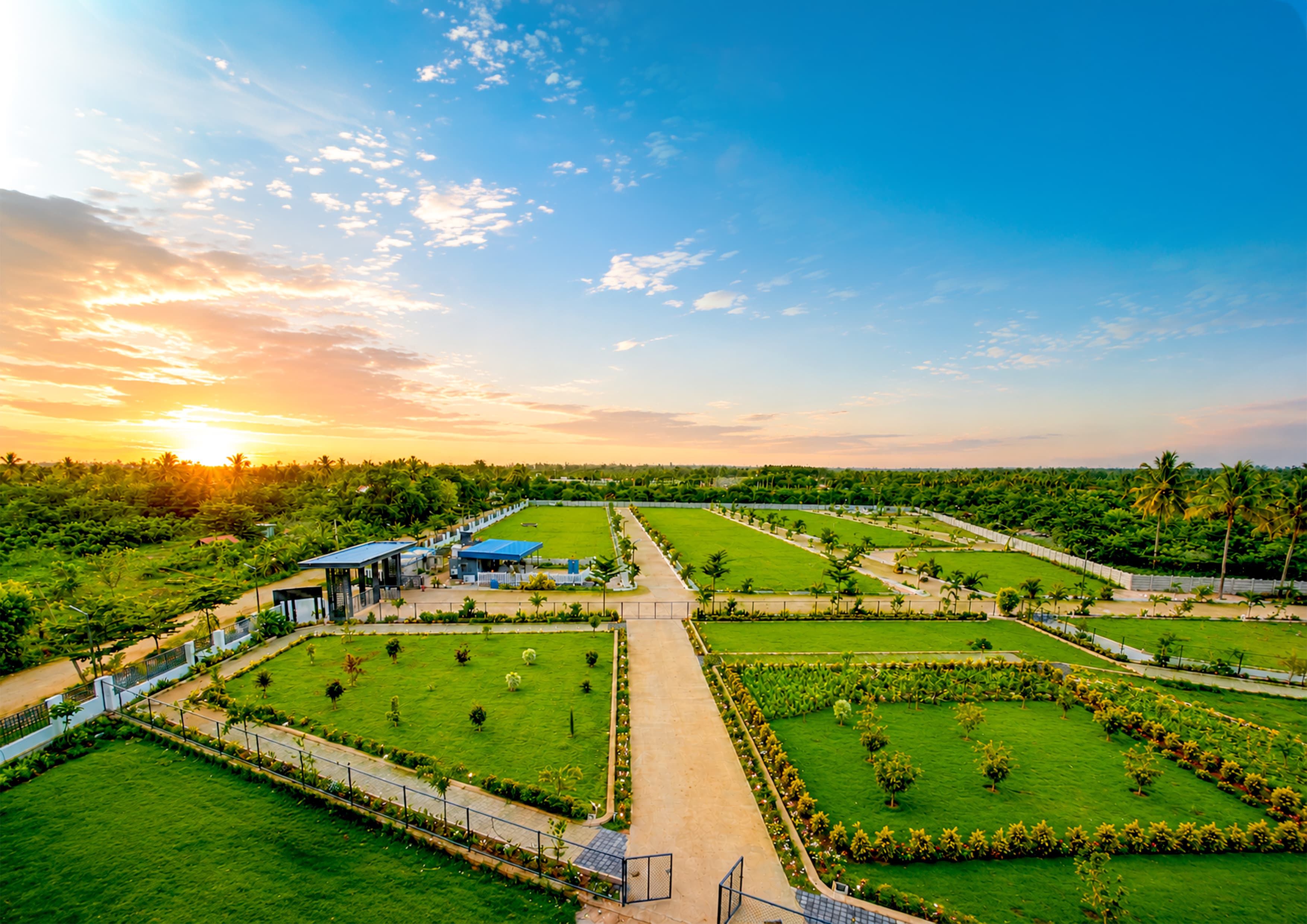 Orchard Rise